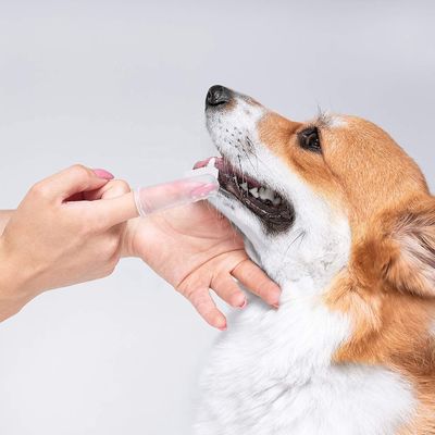 Dents de nettoyage d'outil de chien de silicone de poil nettoyant la brosse à dents orale d'animal familier de doigt de soin de chien