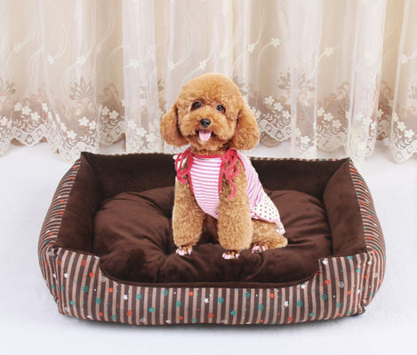 Lit confortable démontable XL d'animal familier de Hallupets le grand classent les niches 1580g de luxe