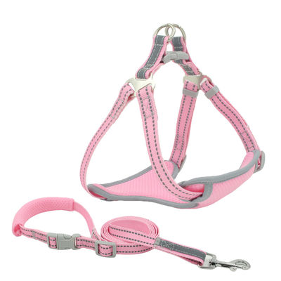 Mesh Reflective Leash And Collar respirable a placé le kit de collier et de laisse de chien d'ensemble de traction de courroie de coffre
