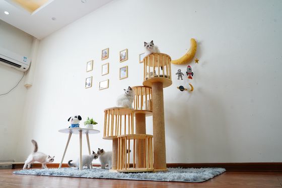 Chambre durable Kitten Cat Climbing Tree Tower Condo avec rayer des courriers