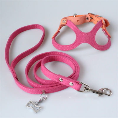 Hallupets Mesh Padded Collar Leash Harness mou a placé le coffre de chien et la traction arrière
