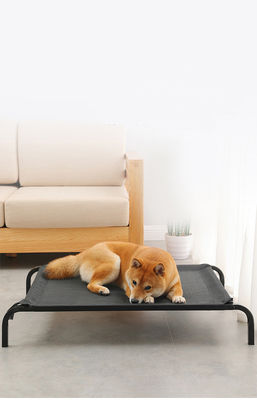 Tube en acier de grande taille pliant le lit de chien élevé par berceau confortable de lit d'animal familier avec les coussins épaissis de peluche