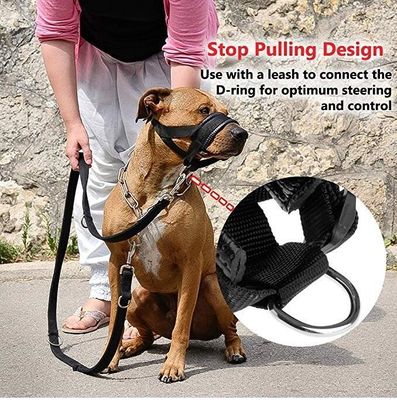 Le harnais en nylon de laisse de collier de museau de chien a placé morsure capitonnée molle de couverture de bouche de chien l'anti