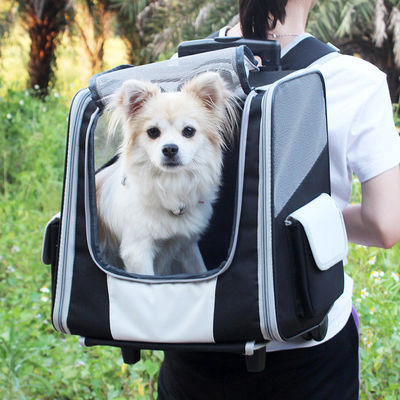 Chariot télescopique à sac à dos de transporteur de voyage d'animal familier de poignée pour de petits chiens et chats