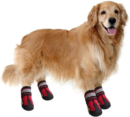 Bottes de marche de chien de sac d'Opp pour des chiens avec semelle rugueuse de glissement des marques réfléchissantes l'anti