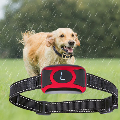 Produits innovateurs de formation d'animal familier de contrôle aucun colliers de choc de formation de chien d'écorce