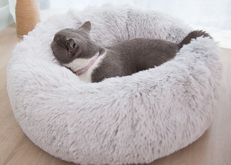 Les chiens mous de chats de beignet de peluche chaude enfoncent le lit apaisant de chien de fourrure de Faux