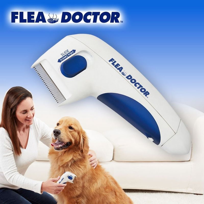 Puce électrique et Tick Comb de puce d'animal familier de chien de Hallupets de solvant électrique de peigne