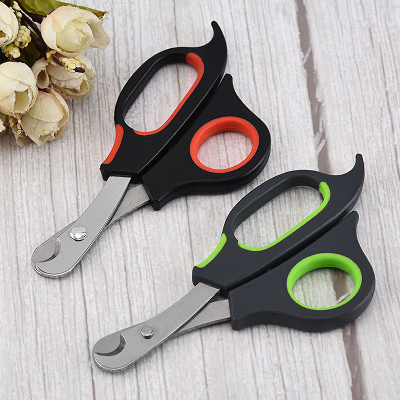 Outils professionnels de toilettage d'animal familier d'acier inoxydable de Clippers de ciseaux de chien de chats
