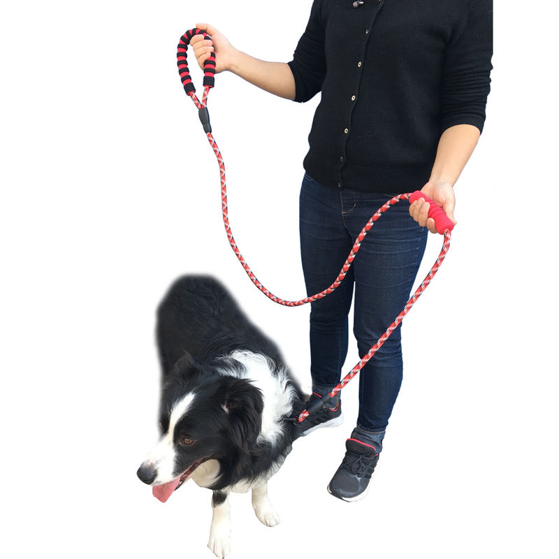 Corde ronde de chien de laisse d'EVA Reflective Double Handle Dog avec l'agrafe et la poignée capitonnée 180cm
