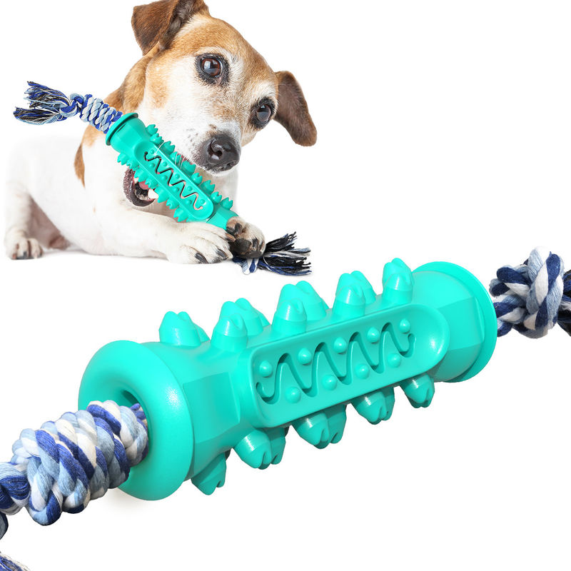 Jouets en caoutchouc non toxiques de mastication pour faire ses dents des chiots 15-30 livres de chien améliorant l'hygiène dentaire