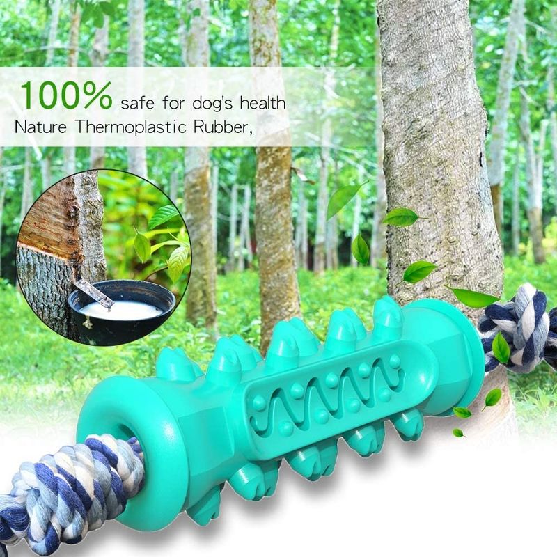 Jouets en caoutchouc non toxiques de mastication pour faire ses dents des chiots 15-30 livres de chien améliorant l'hygiène dentaire