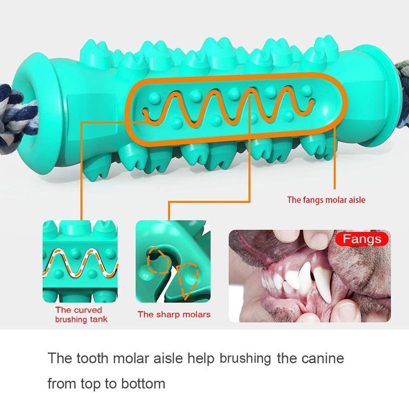 Jouets en caoutchouc non toxiques de mastication pour faire ses dents des chiots 15-30 livres de chien améliorant l'hygiène dentaire