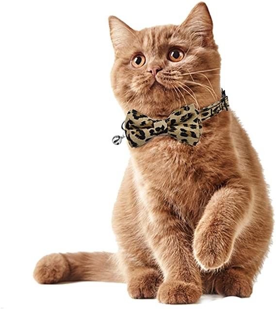Noeud papillon détaché de Cat Collar Bells With Cute de boucle pour Kitty Small Dogs Adjustable