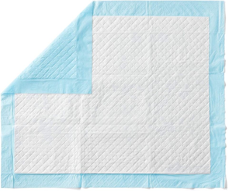 Protection humide propre saine absorbante superbe de Cat Training Urine Pee Pads Mat Disposable Dog Diaper Training de couches-culottes de chien