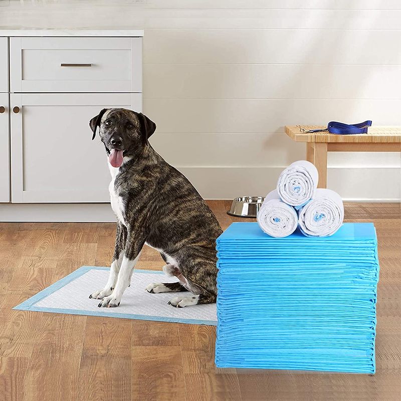 Protection humide propre saine absorbante superbe de Cat Training Urine Pee Pads Mat Disposable Dog Diaper Training de couches-culottes de chien