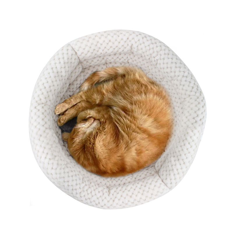 Les animaux familiers en gros de lit de chat et de chien de forme de tasse de la caresse 2021 enfoncent avec de hauts murs pour la Chambre lavable d'animal familier de sommeil profond