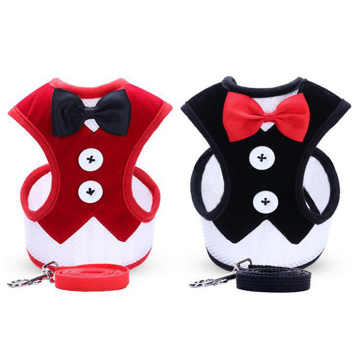 Le harnais réglable de laisse de collier a placé le collier de chien fait main avec la corde L 35-50cm de gilet de traction de noeud papillon