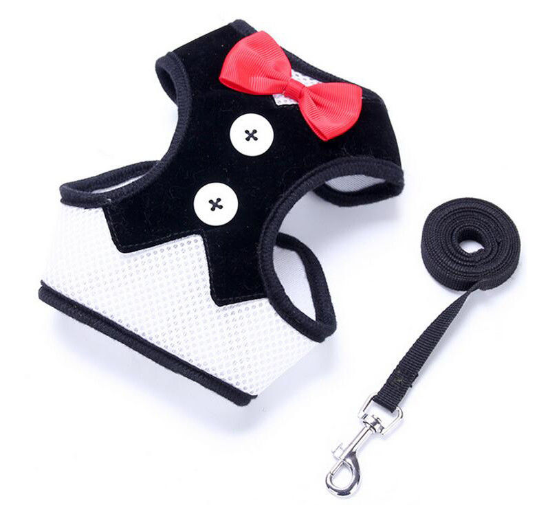 Le harnais réglable de laisse de collier a placé le collier de chien fait main avec la corde L 35-50cm de gilet de traction de noeud papillon