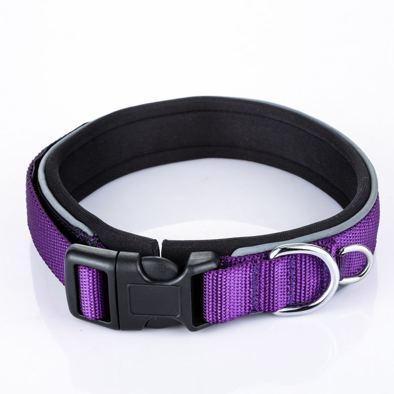 Perro confortable de Para de collier de chien de laisse de collier de chaîne de laser de chien d'avance de rayure réfléchissante en nylon réglable d'animal familier