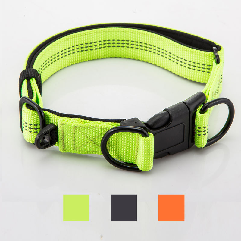 Le double réglable D boucle le collier de chien et la laisse a placé l'avance à chaînes de nylon de chien réfléchie