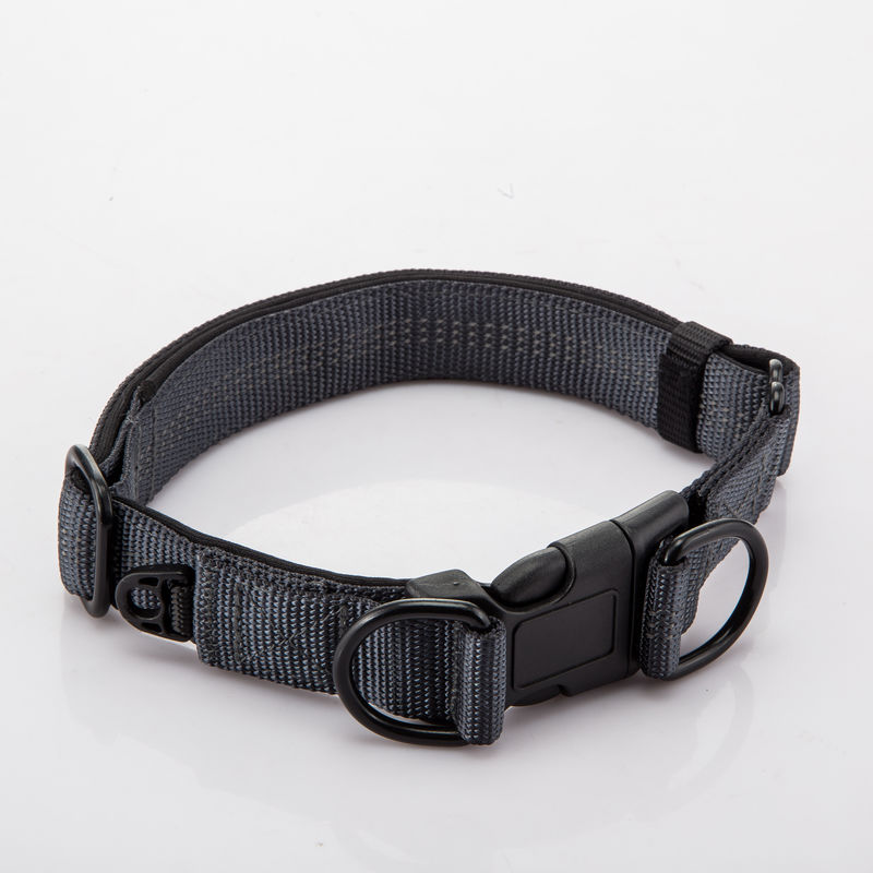 Le double réglable D boucle le collier de chien et la laisse a placé l'avance à chaînes de nylon de chien réfléchie