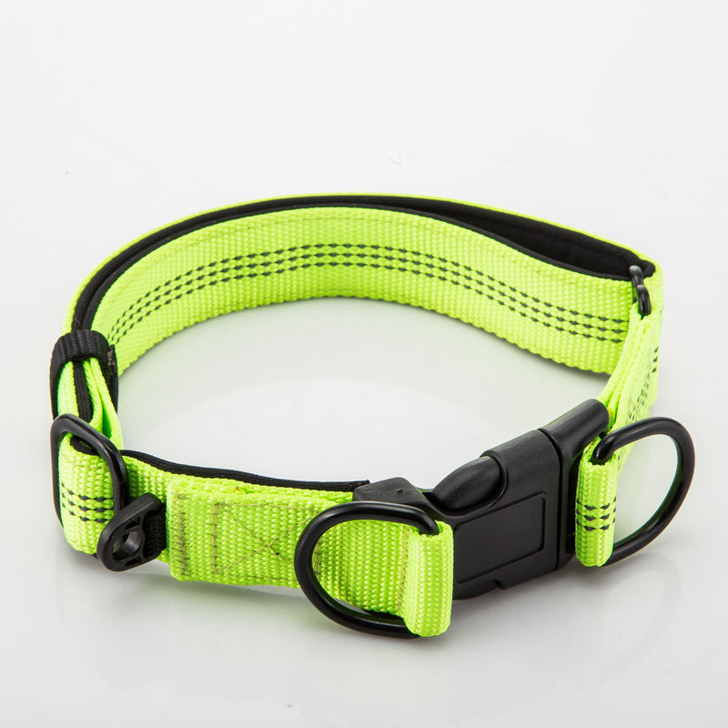 Le double réglable D boucle le collier de chien et la laisse a placé l'avance à chaînes de nylon de chien réfléchie