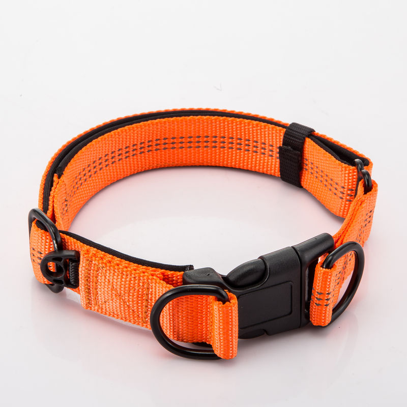 Le double réglable D boucle le collier de chien et la laisse a placé l'avance à chaînes de nylon de chien réfléchie