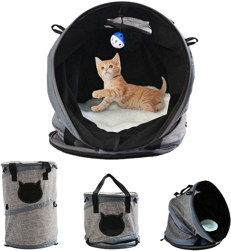 3 dans 1 Cat Bag Carrier Backpack avec le tapis d'ouatine