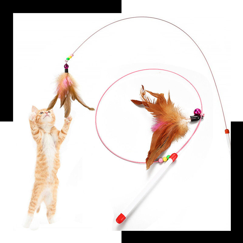 Baguette magique d'énigme de Hallupets Cat Pet Toys Cat Feather