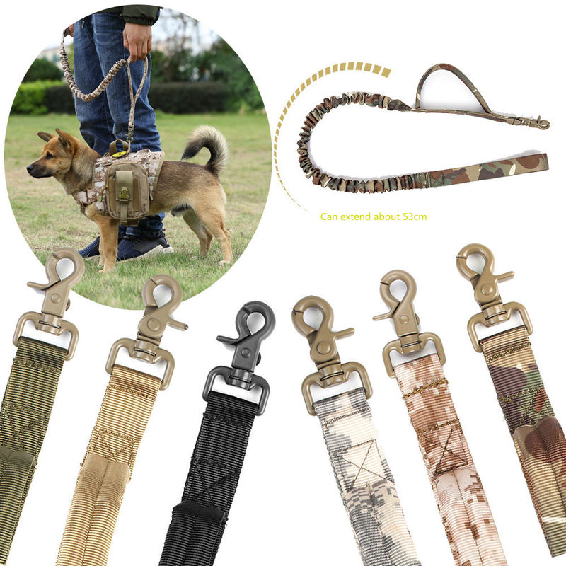 Laisses escamotables de formation de chien de Bungee de corde de laisse en nylon tactique de chien