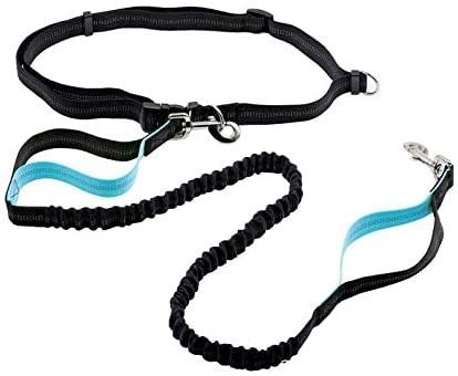 Laisse libre de chien de corde de chien de harnais de ceinture de maintien de doubles de poignée mains élastiques réfléchies escamotables de Bungees