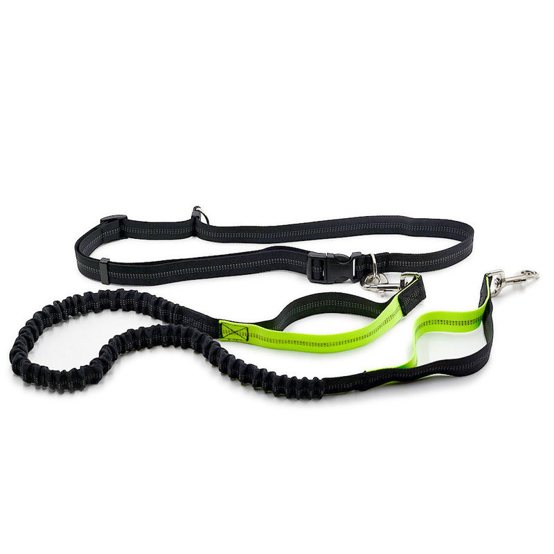 Laisse libre de chien de corde de chien de harnais de ceinture de maintien de doubles de poignée mains élastiques réfléchies escamotables de Bungees