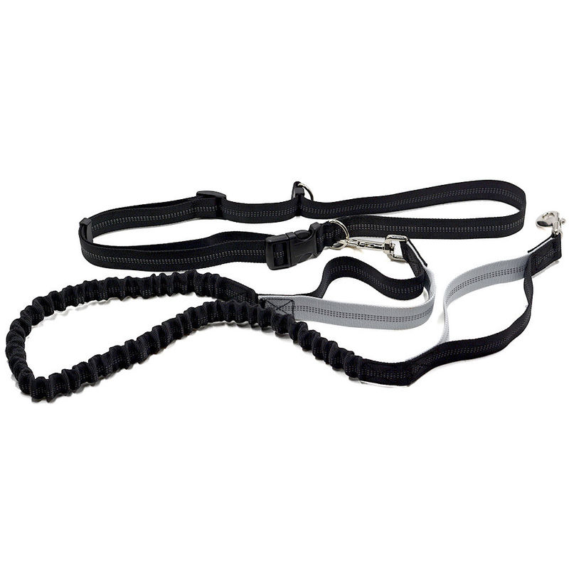 Laisse libre de chien de corde de chien de harnais de ceinture de maintien de doubles de poignée mains élastiques réfléchies escamotables de Bungees