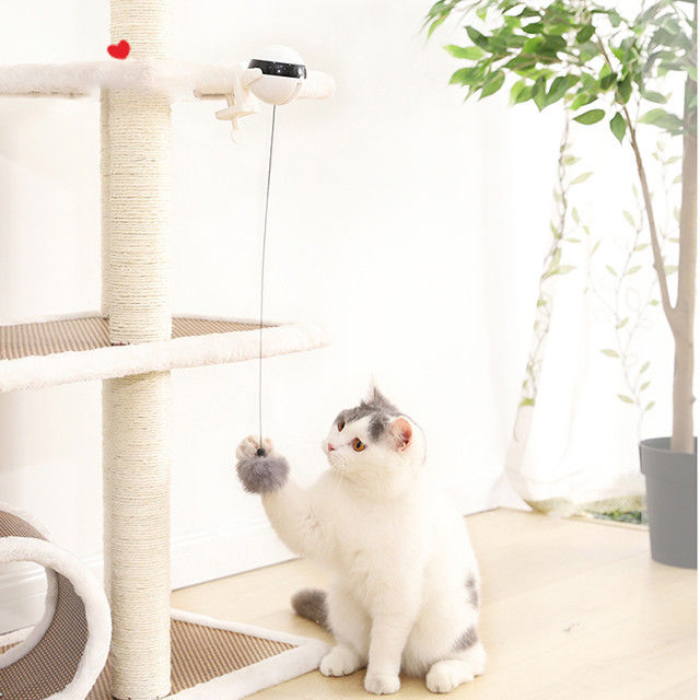 Boule automatique électronique interactive Cat Pet Toys Funny Stick Cat Teaser Toy d'ascenseur