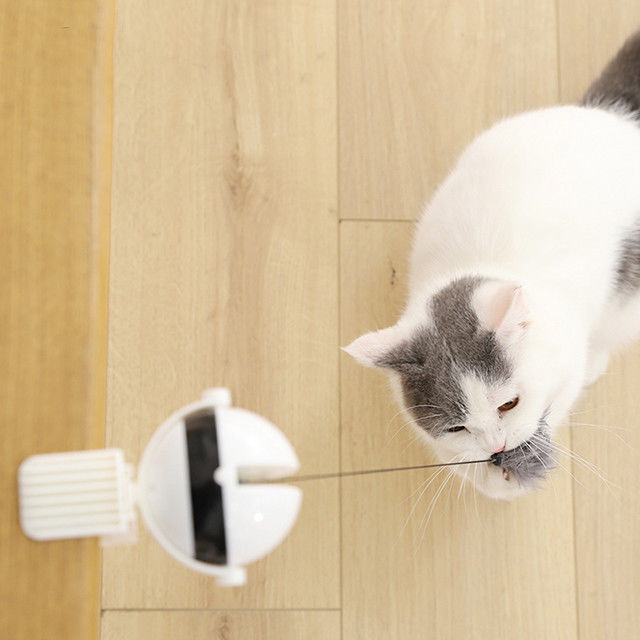 Boule automatique électronique interactive Cat Pet Toys Funny Stick Cat Teaser Toy d'ascenseur