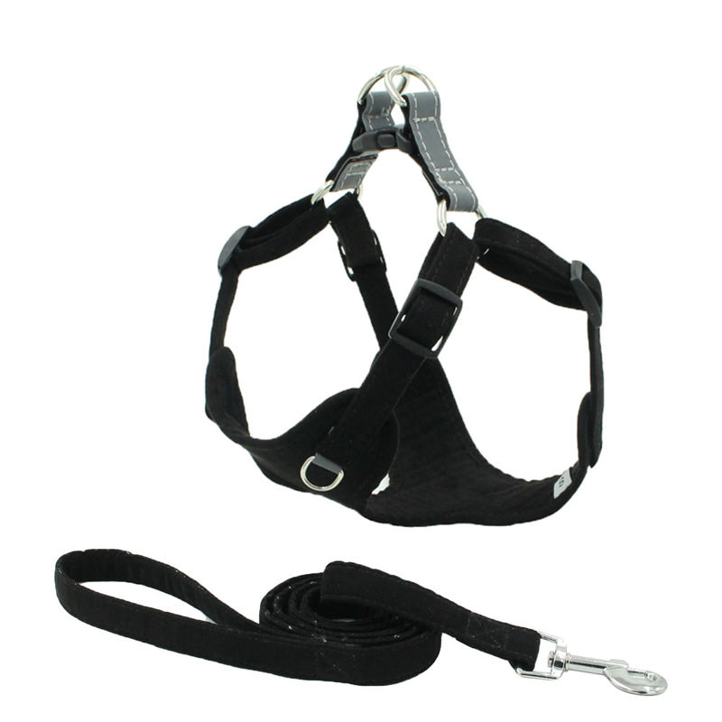 Le harnais réfléchi de laisse de collier de chien de coffre de tissu de suède a placé le harnais facile de chien de promenade
