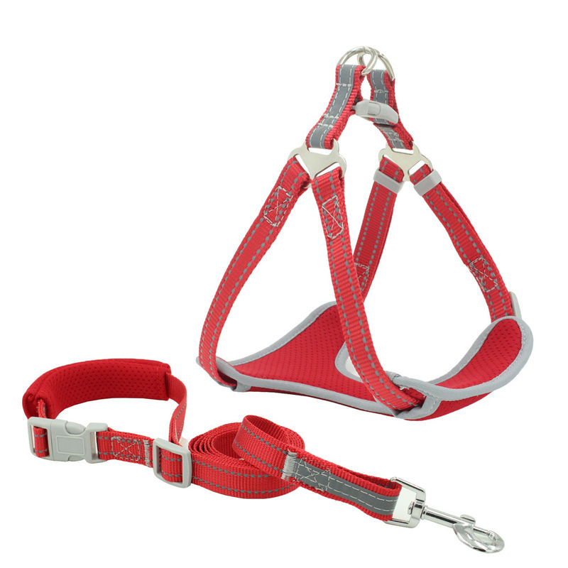 Mesh Reflective Leash And Collar respirable a placé le kit de collier et de laisse de chien d'ensemble de traction de courroie de coffre