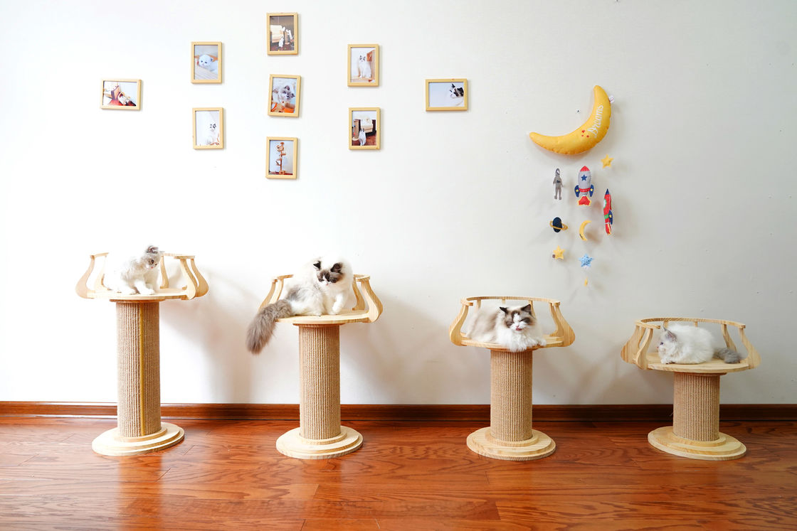 Tableau de éraflure en bois écologique L taille 72cm M 62cm de photo de Cat Climbing Tree Tower Cat