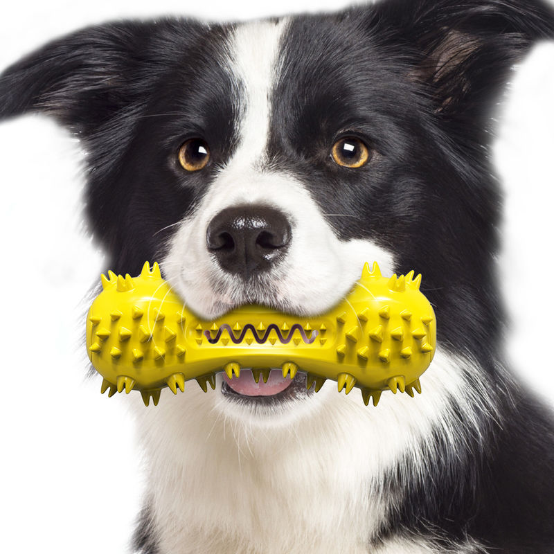 Jouets résistants 160g de brosse à dents de chien de jouets d'animal familier de chien de morsure non-toxique du caoutchouc naturel