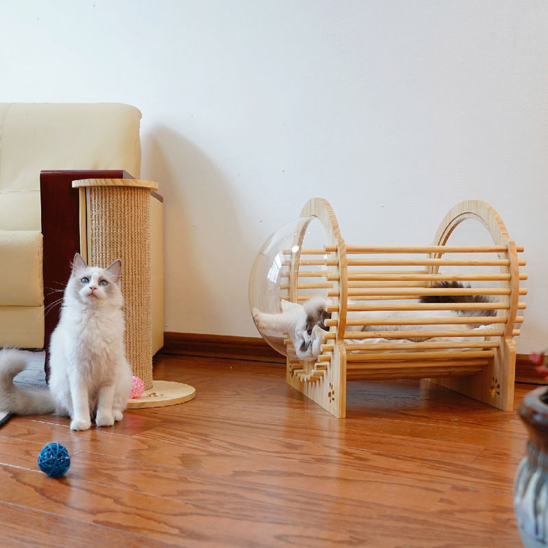 Bois Cat Bed House With Window de capsule