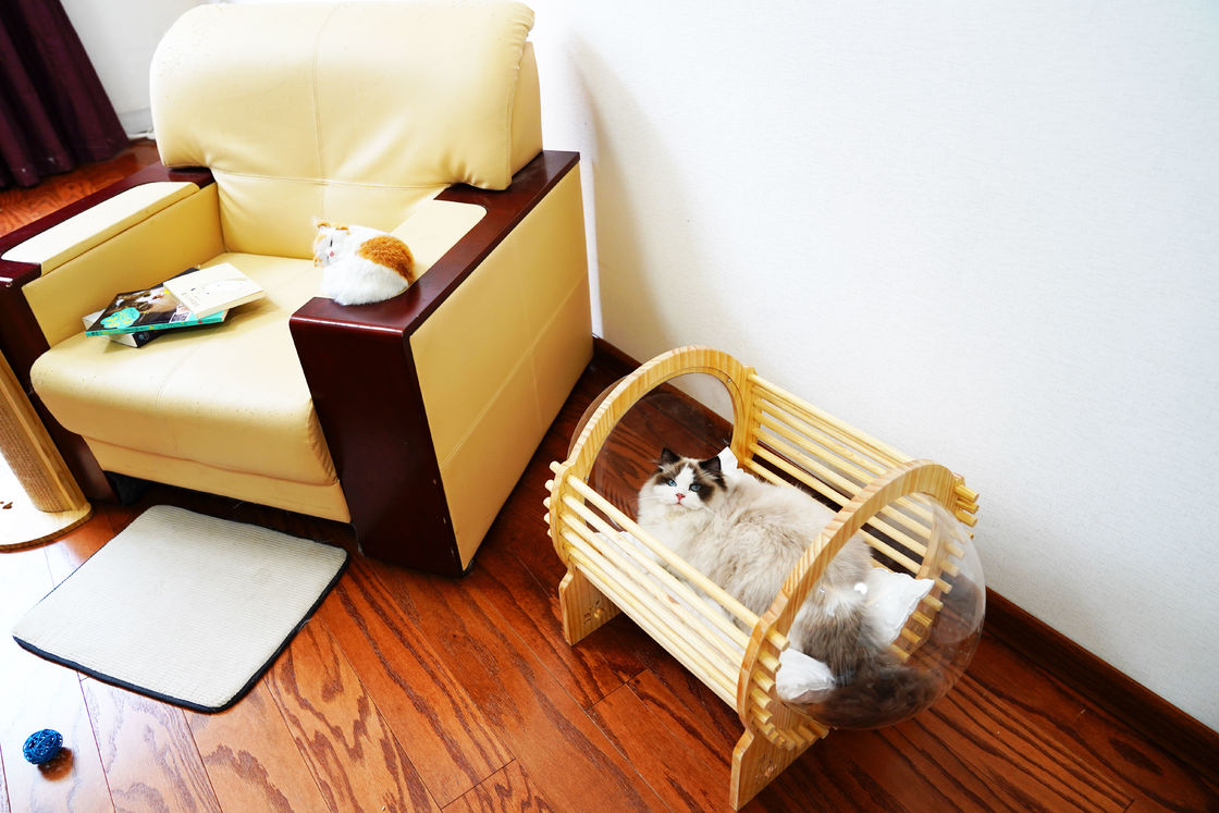 Bois Cat Bed House With Window de capsule