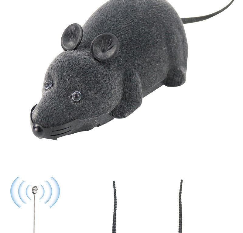 Le tour de cadeau de nouveauté jouant Cat Pet Toys Wireless Remote a commandé le jouet de rat