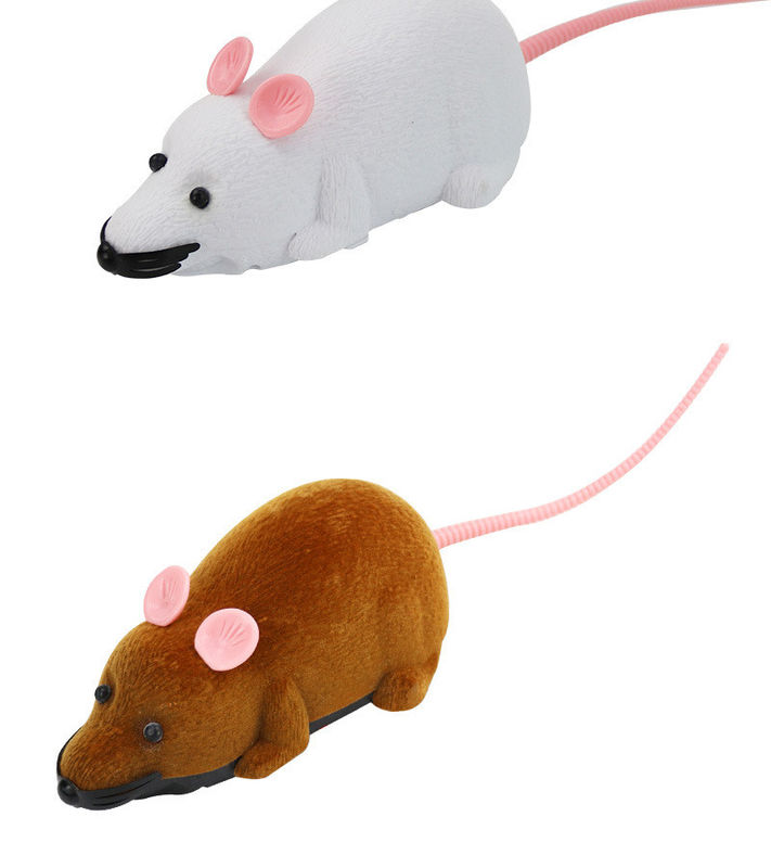 Le tour de cadeau de nouveauté jouant Cat Pet Toys Wireless Remote a commandé le jouet de rat