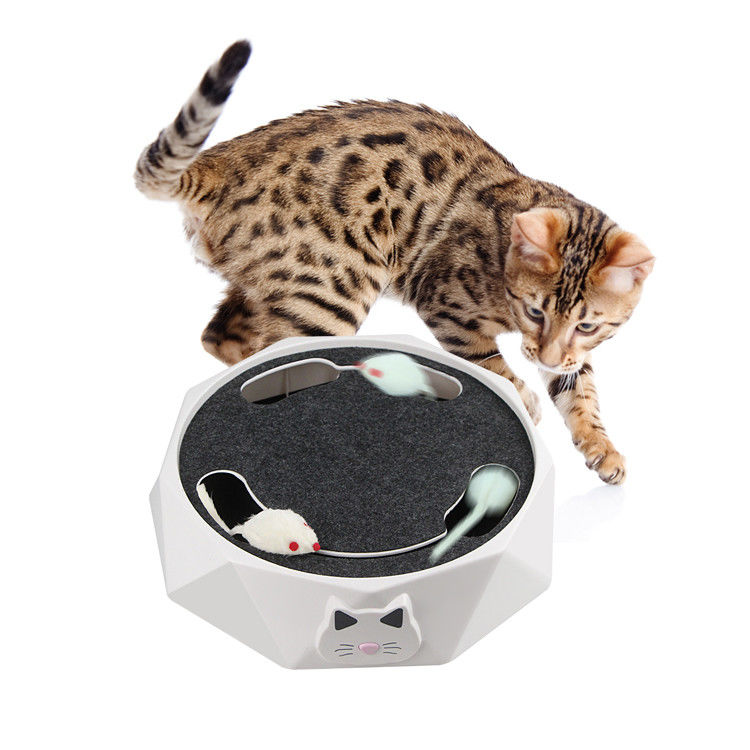 La souris folle chassant Cat Scratcher Toy Electric Cat joue avec les souris courantes 712g