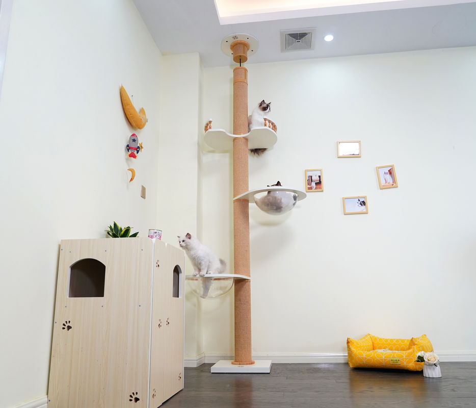 Grand plafond en bois de Cat Climbing Tree Floor To jouant la Chambre 82*40*87cm