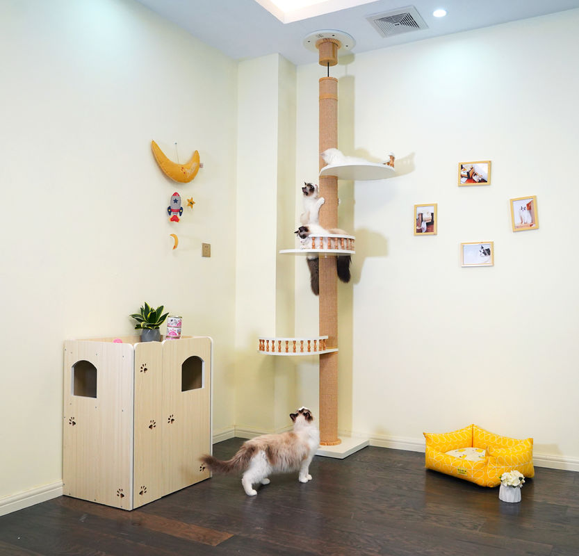 Grand plafond en bois de Cat Climbing Tree Floor To jouant la Chambre 82*40*87cm