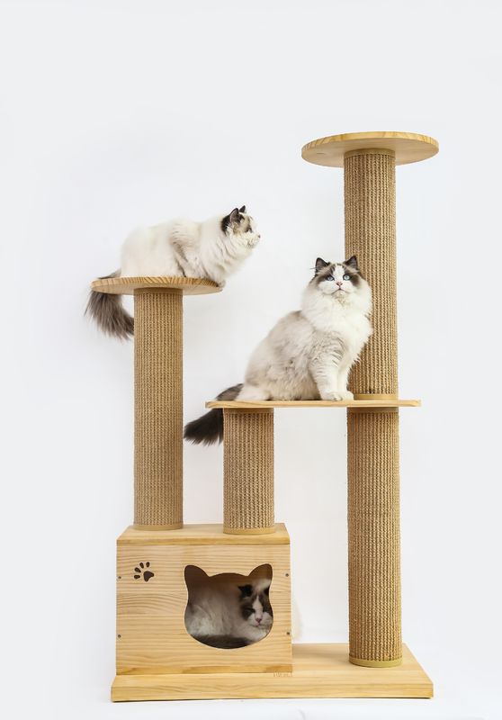 Lit en bois de luxe de hausse d'animal familier d'escaliers d'OEM et d'ODM Cat Climbing Tree Furniture Safety