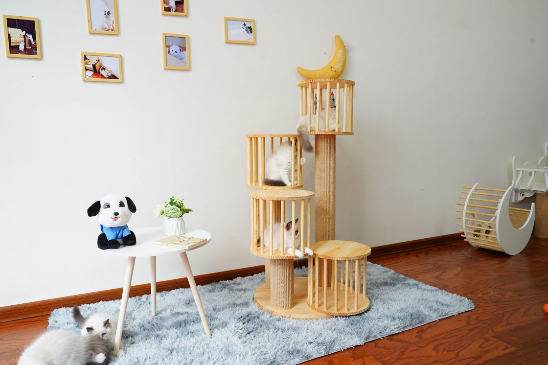 Chambre durable Kitten Cat Climbing Tree Tower Condo avec rayer des courriers