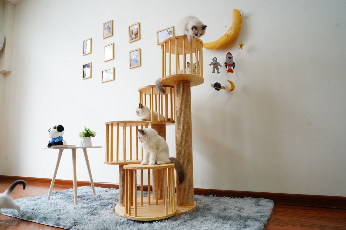 Chambre durable Kitten Cat Climbing Tree Tower Condo avec rayer des courriers